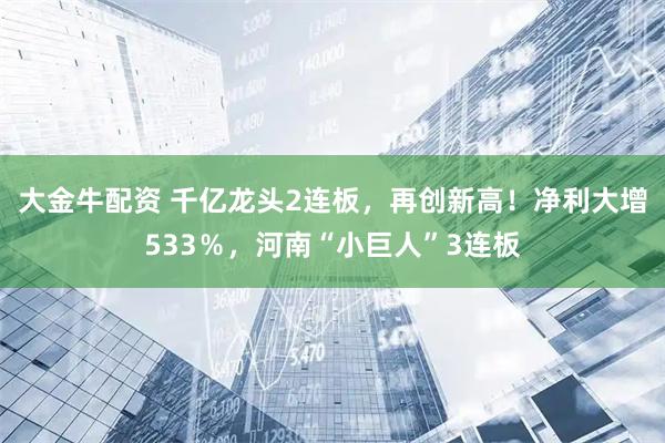 大金牛配资 千亿龙头2连板，再创新高！净利大增533％，河南“小巨人”3连板