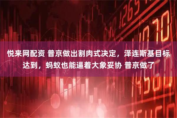 悦来网配资 普京做出割肉式决定，泽连斯基目标达到，蚂蚁也能逼着大象妥协 普京做了